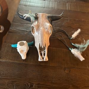 Southwestern home decor cow skull and mini cow skull